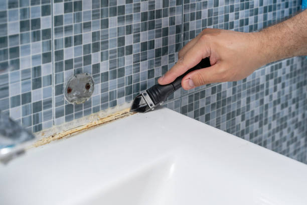 Mold Testing and Removal in St James, MD