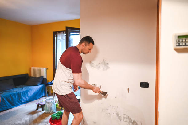 Best Best Mold Removal Companies  in St James, MD