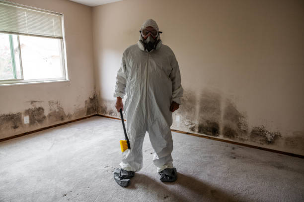 Best Fast Mold Removal  in St James, MD